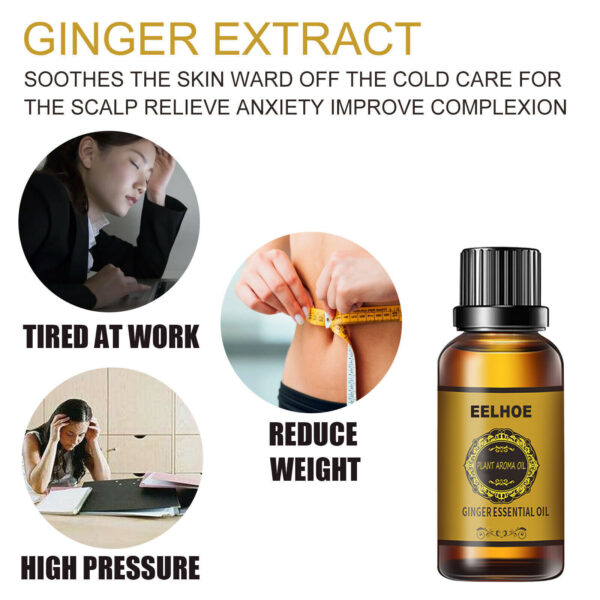 Belly Drainage Ginger Oil Natural Therapy Lymphatic Essential Massage Liquid USA - Image 10