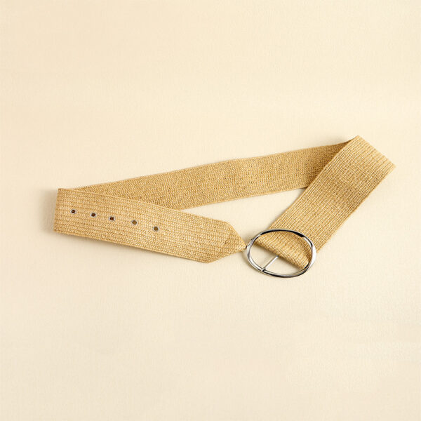 Summer Fashion Pp Grass Woven Belt Beach Holiday Wide Waist Cover - Image 9