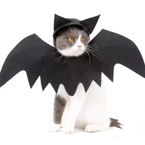 halloween pet cat wefabeu